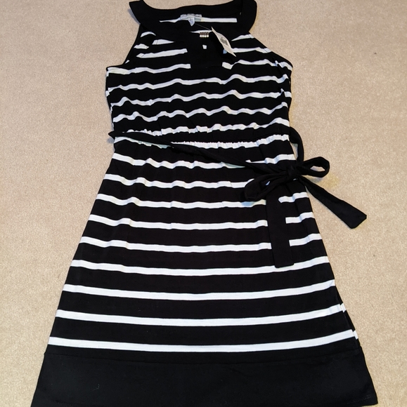 Allison Brittney Dresses & Skirts - Nwt Allison Brittany black & white striped dress (Size: S stretch)